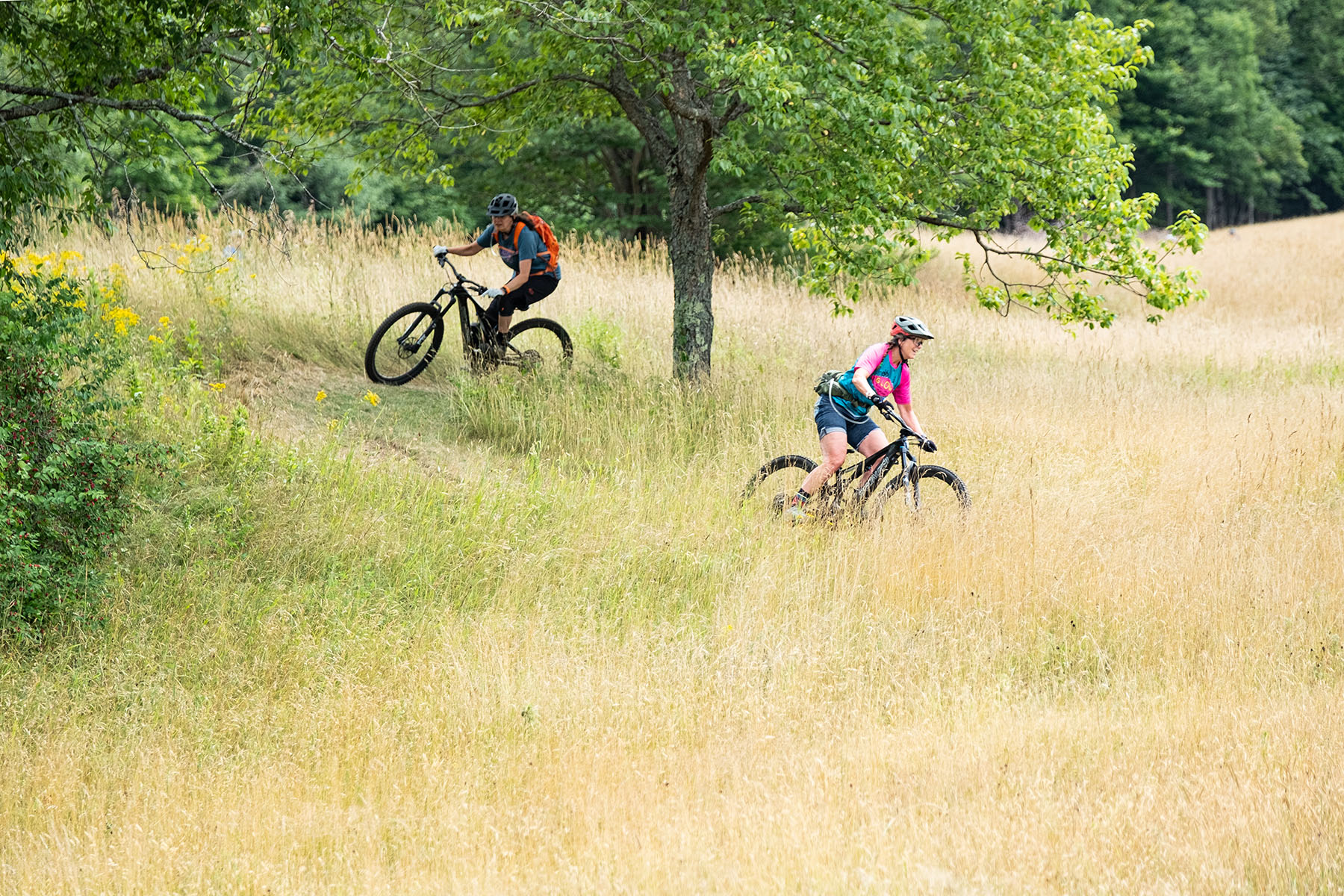 vermont bike tours 2021